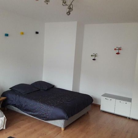 Mathilde'S Studio Appartamento Strasburgo Esterno foto